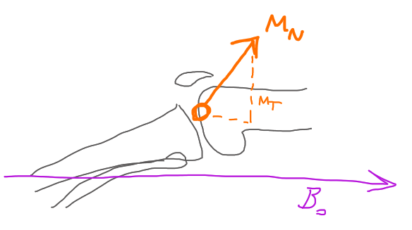 After RF Pulse